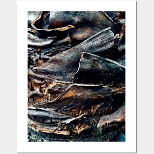 Natural Tree Bark Posters and Art